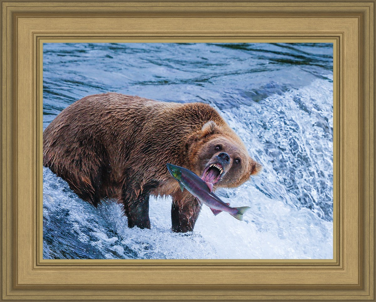 Catch of the Day