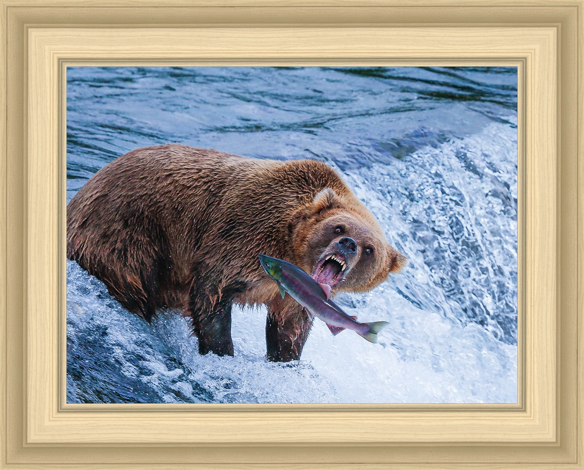 Catch of the Day