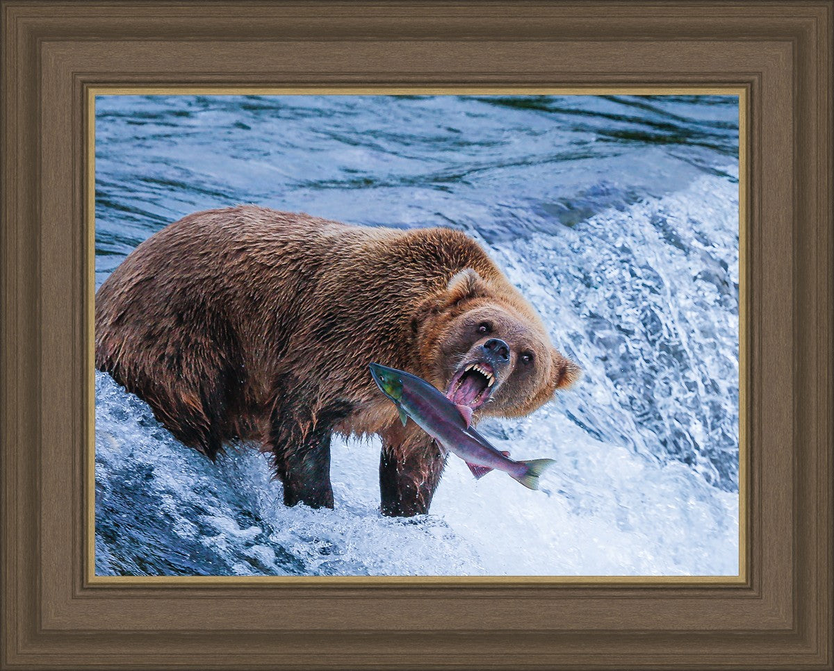 Catch of the Day