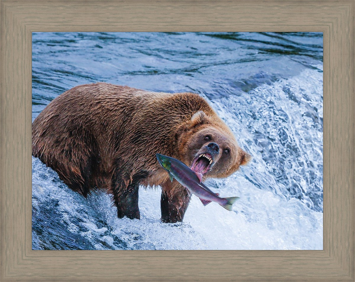 Catch of the Day