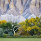 Ghost Tree