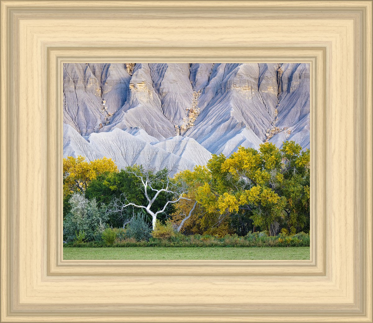 Ghost Tree