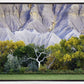 Ghost Tree