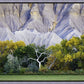 Ghost Tree