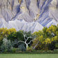 Ghost Tree