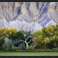 Ghost Tree