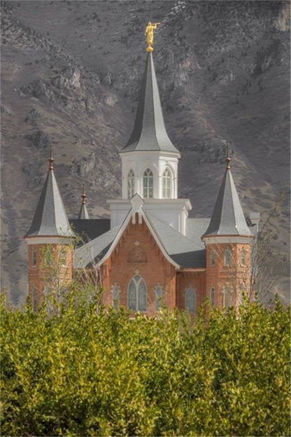 Provo City Center Gallery Wrap