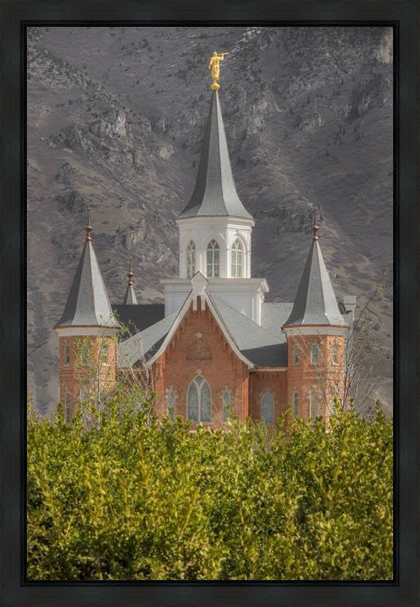 Provo City Center Gallery Wrap