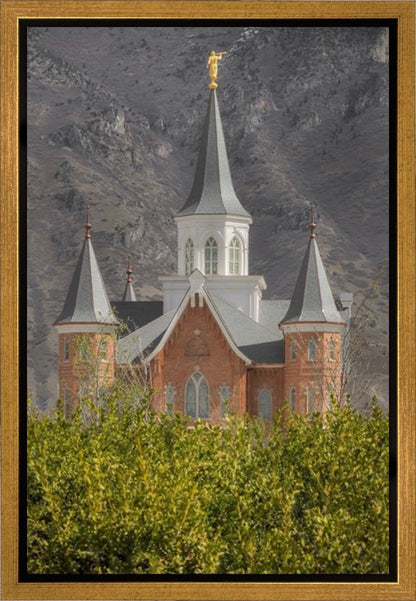 Provo City Center Gallery Wrap