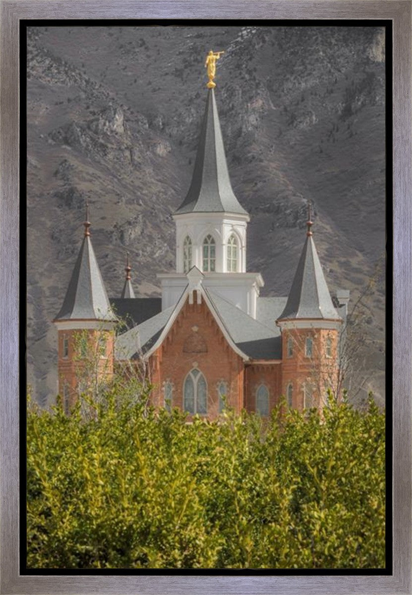 Provo City Center Gallery Wrap