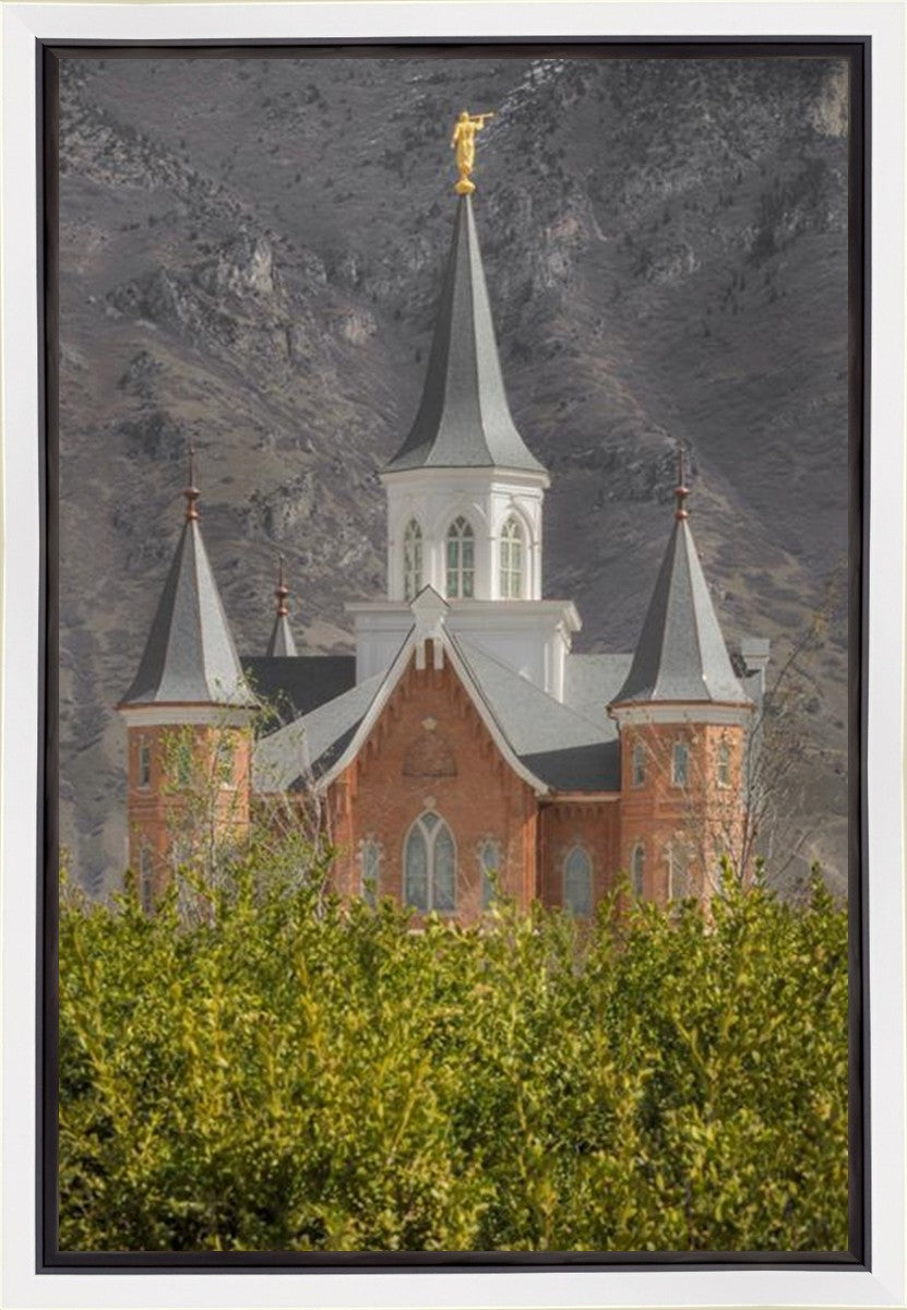 Provo City Center Gallery Wrap