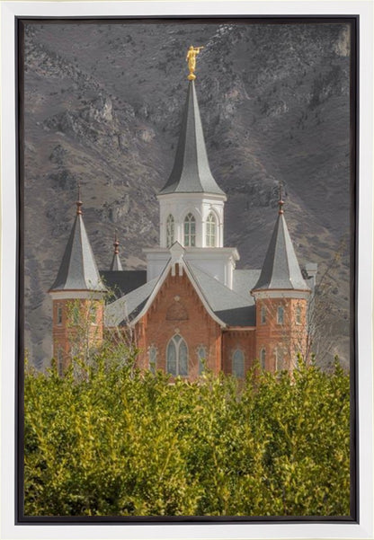 Provo City Center Gallery Wrap