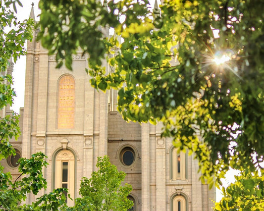 Salt Lake Brilliant Light Gallery Wrap