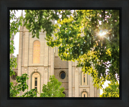 Salt Lake Brilliant Light Gallery Wrap