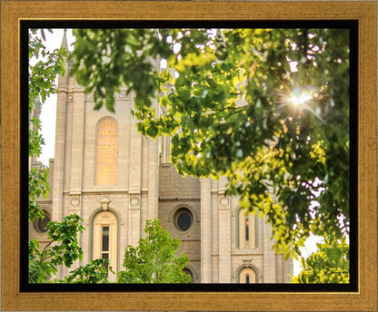 Salt Lake Brilliant Light Gallery Wrap