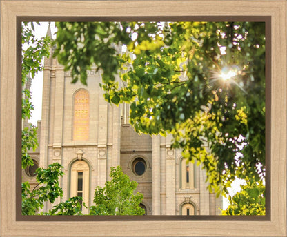 Salt Lake Brilliant Light Gallery Wrap