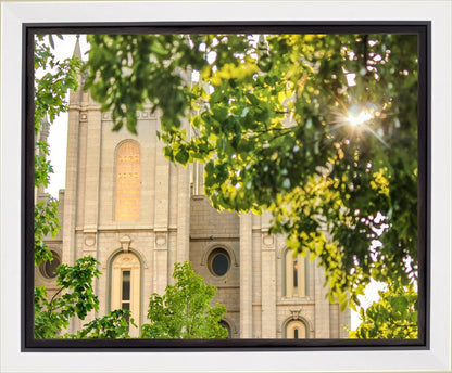 Salt Lake Brilliant Light Gallery Wrap