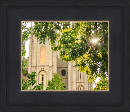 Salt Lake Brilliant Light