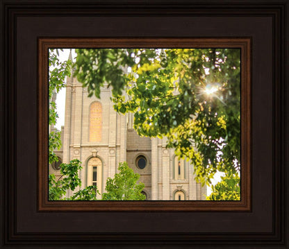 Salt Lake Brilliant Light