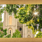 Salt Lake Brilliant Light