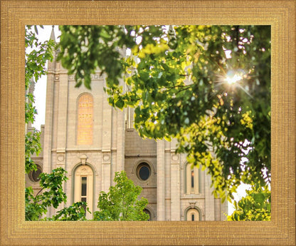 Salt Lake Brilliant Light