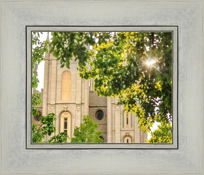 Salt Lake Brilliant Light