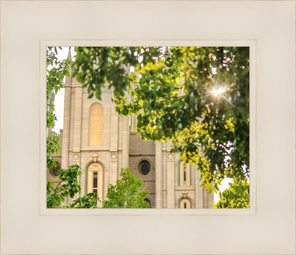 Salt Lake Brilliant Light