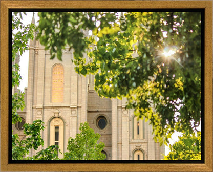 Salt Lake Brilliant Light Gallery Wrap