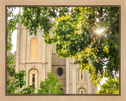 Salt Lake Brilliant Light Gallery Wrap