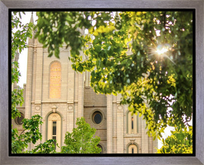 Salt Lake Brilliant Light Gallery Wrap