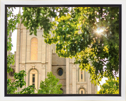 Salt Lake Brilliant Light Gallery Wrap