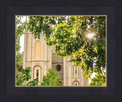 Salt Lake Brilliant Light