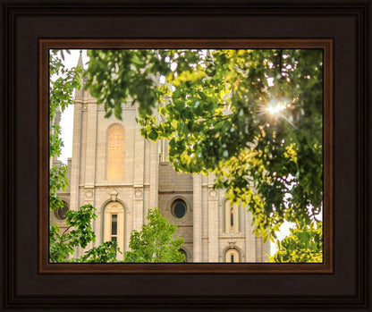 Salt Lake Brilliant Light