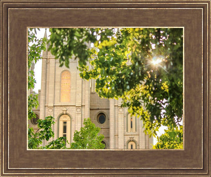 Salt Lake Brilliant Light