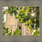 Salt Lake Brilliant Light