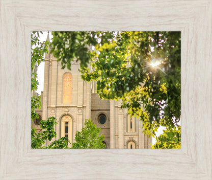 Salt Lake Brilliant Light