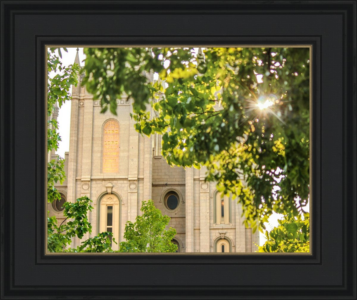 Salt Lake Brilliant Light