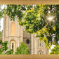 Salt Lake Brilliant Light