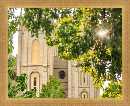 Salt Lake Brilliant Light