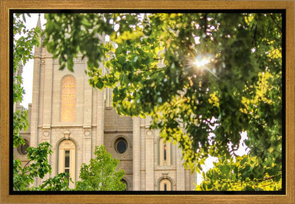 Salt Lake Brilliant Light Gallery Wrap