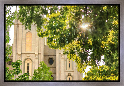 Salt Lake Brilliant Light Gallery Wrap