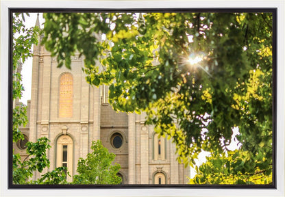 Salt Lake Brilliant Light Gallery Wrap