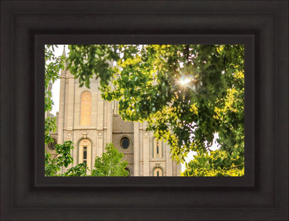 Salt Lake Brilliant Light