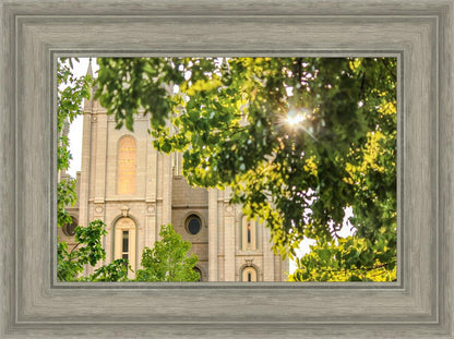 Salt Lake Brilliant Light