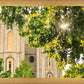 Salt Lake Brilliant Light