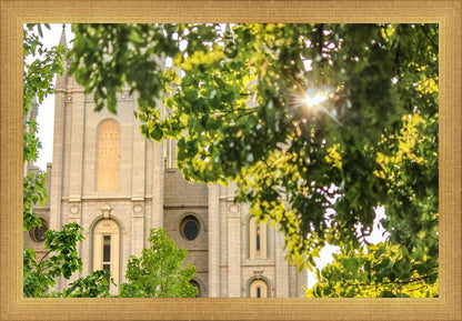 Salt Lake Brilliant Light