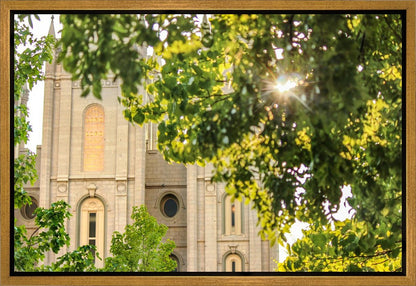 Salt Lake Brilliant Light Gallery Wrap