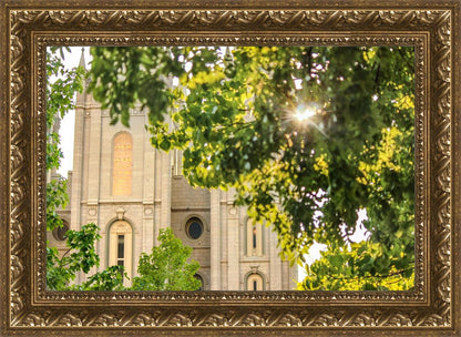 Salt Lake Brilliant Light