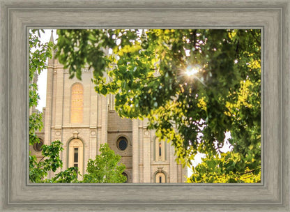 Salt Lake Brilliant Light