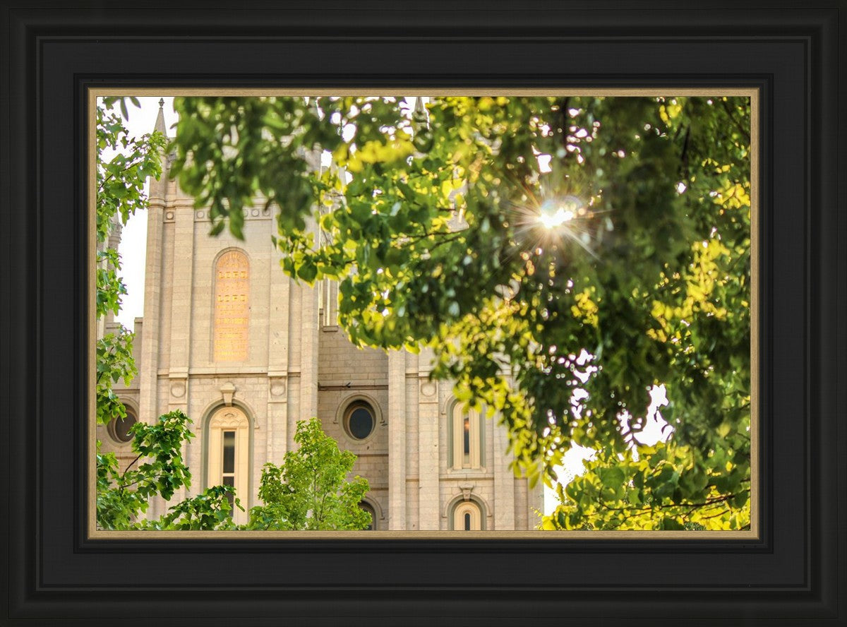 Salt Lake Brilliant Light